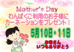 わんぱくご利用で先着カーネーション