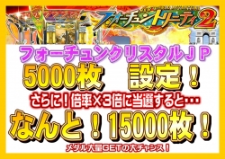 フォーチュンJP5000