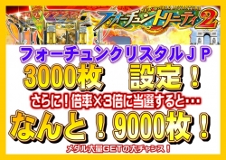 フォーチュンJP3000