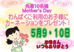 母の日カーネーション